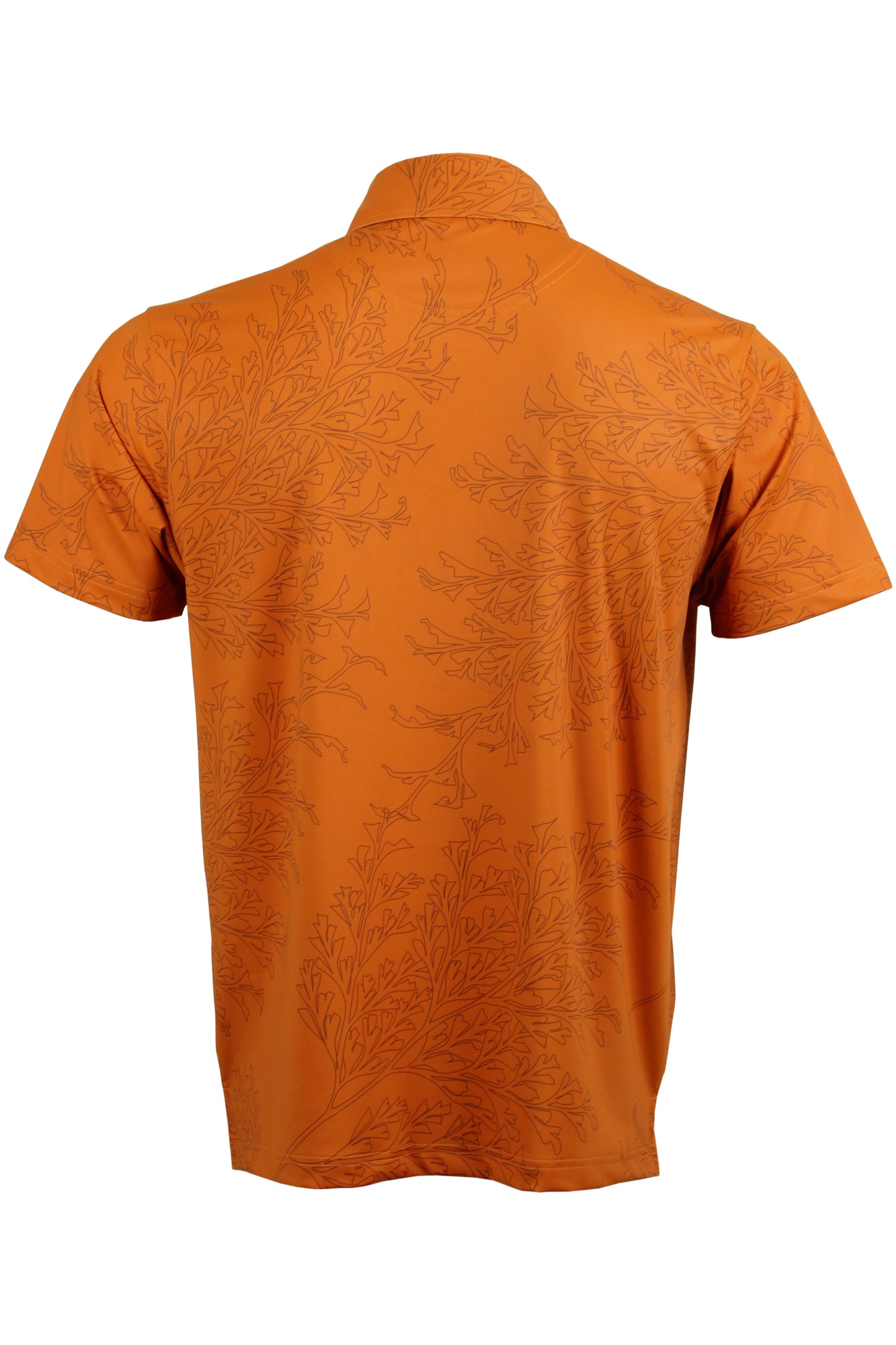 Bronze Pala'a Polo