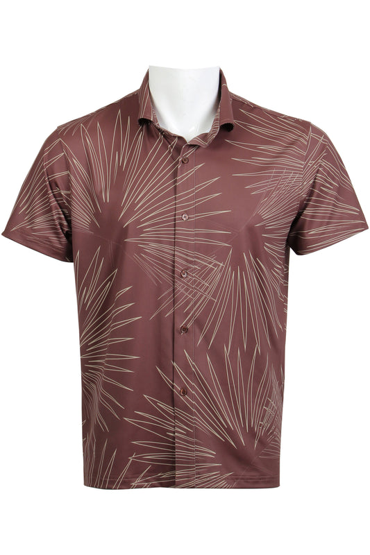 Sun Palm-Espresso Button Down
