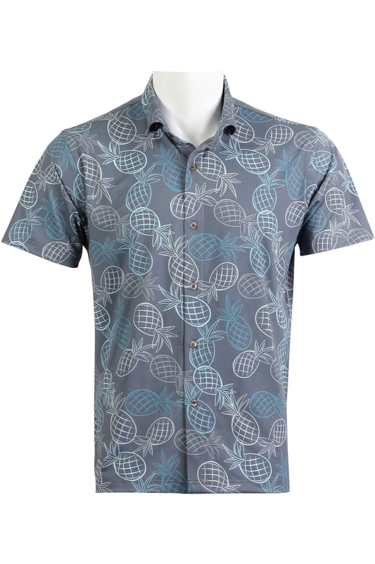Mini Pineapple-Gray and Blue Button Down