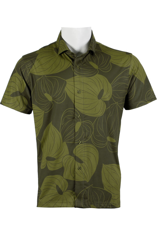 Anthurium-Green Button Down