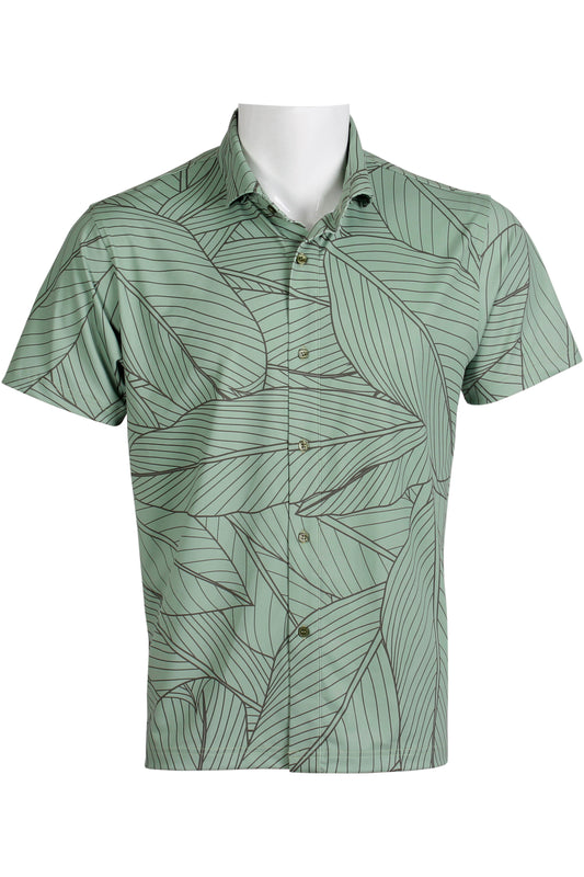 Ti Leaf-Green and Gray Button Down