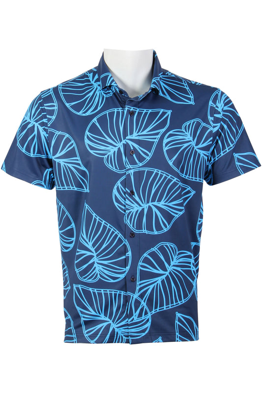 Kalo-Navy and Carolina Button Down