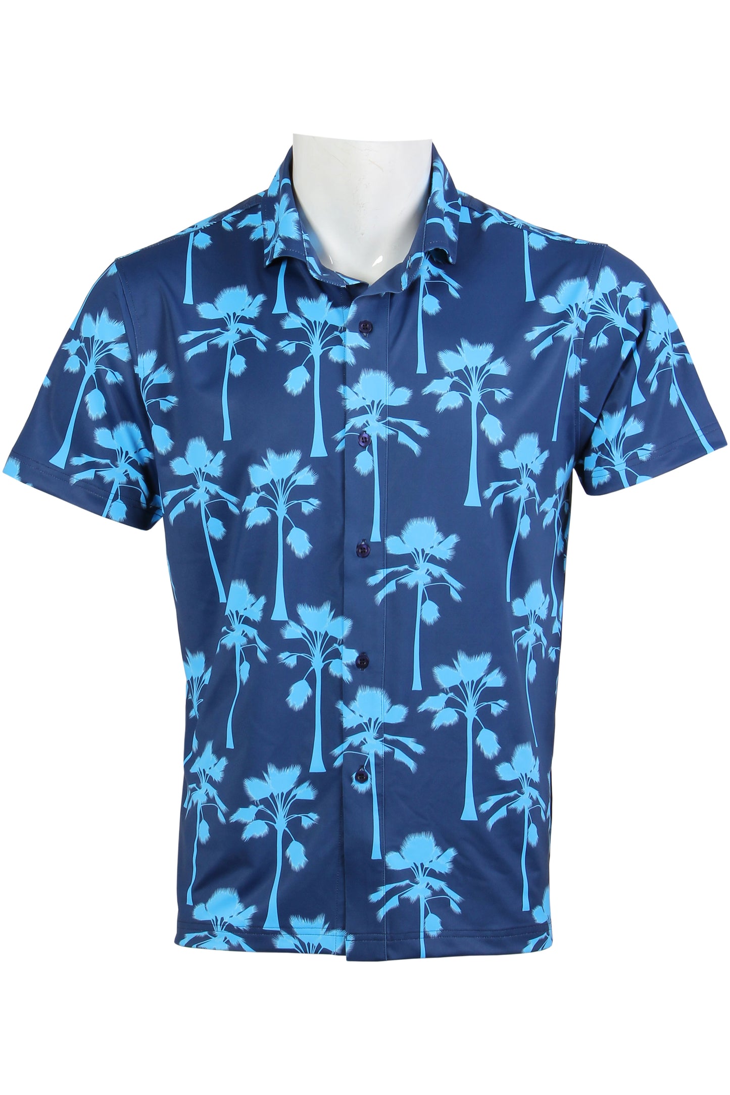 Navy and Carolina Loulu Button Down