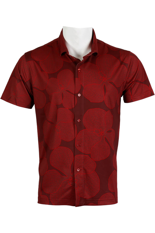 Vanda Orchid-Red Button Down