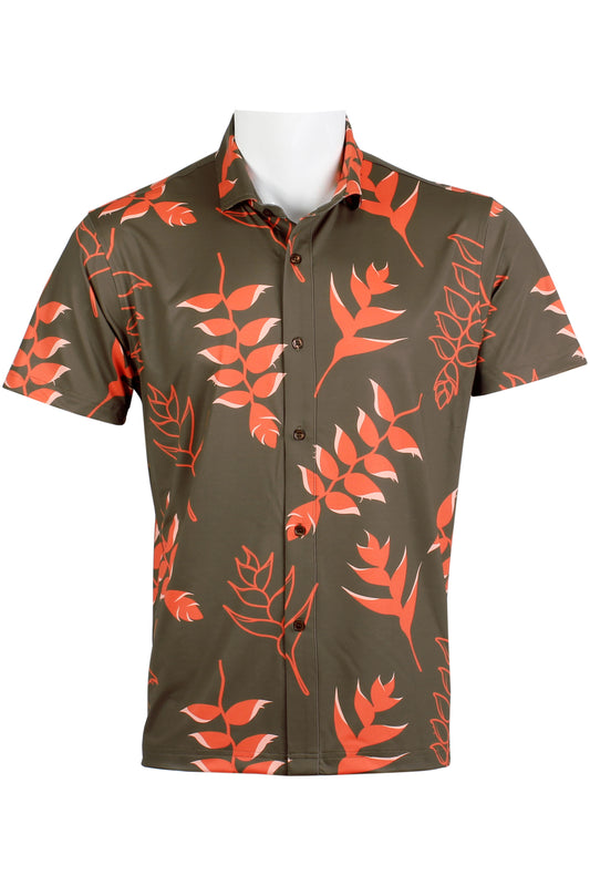 Heliconia-Brown and Red Button Down