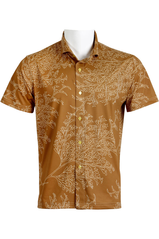 Pala'a-Copper Button Down