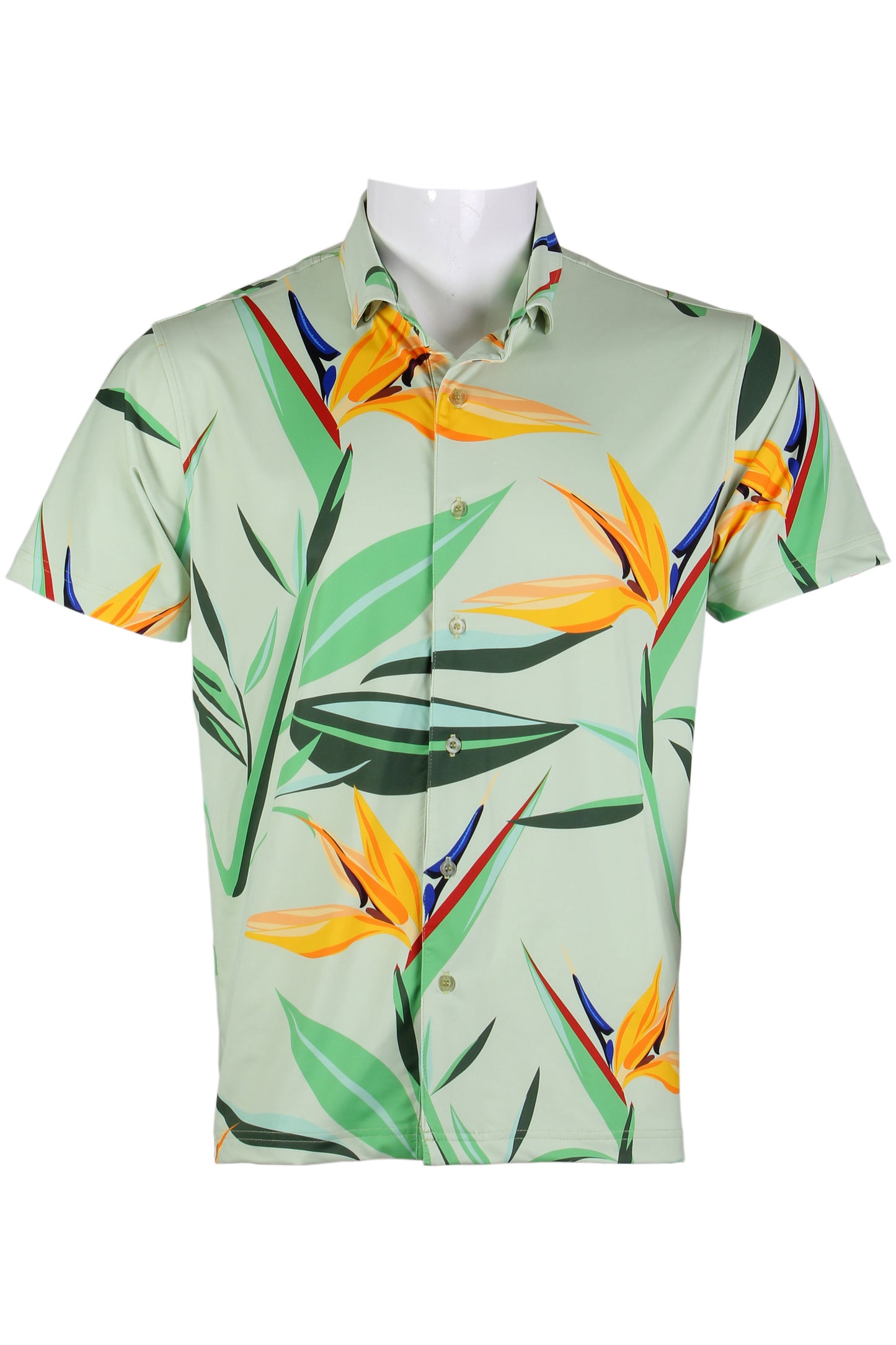 Bird of Paradise-Green Button Down